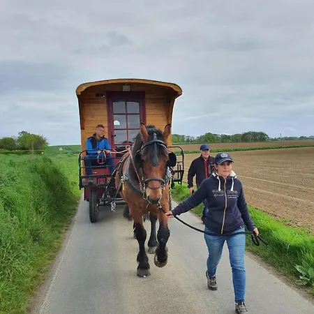 Veritable Roulotte Hippomobile 
