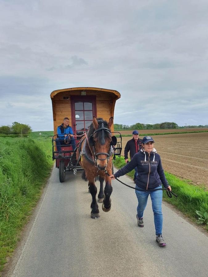 Tente de luxe Veritable Roulotte Hippomobile 